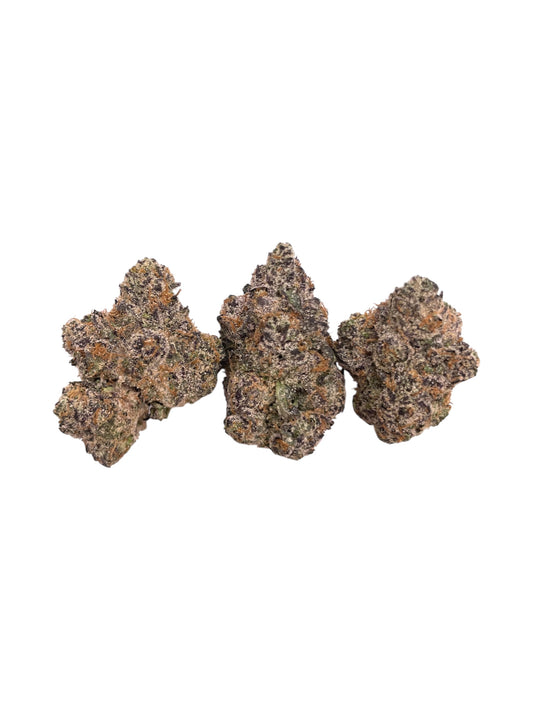GELATO #33